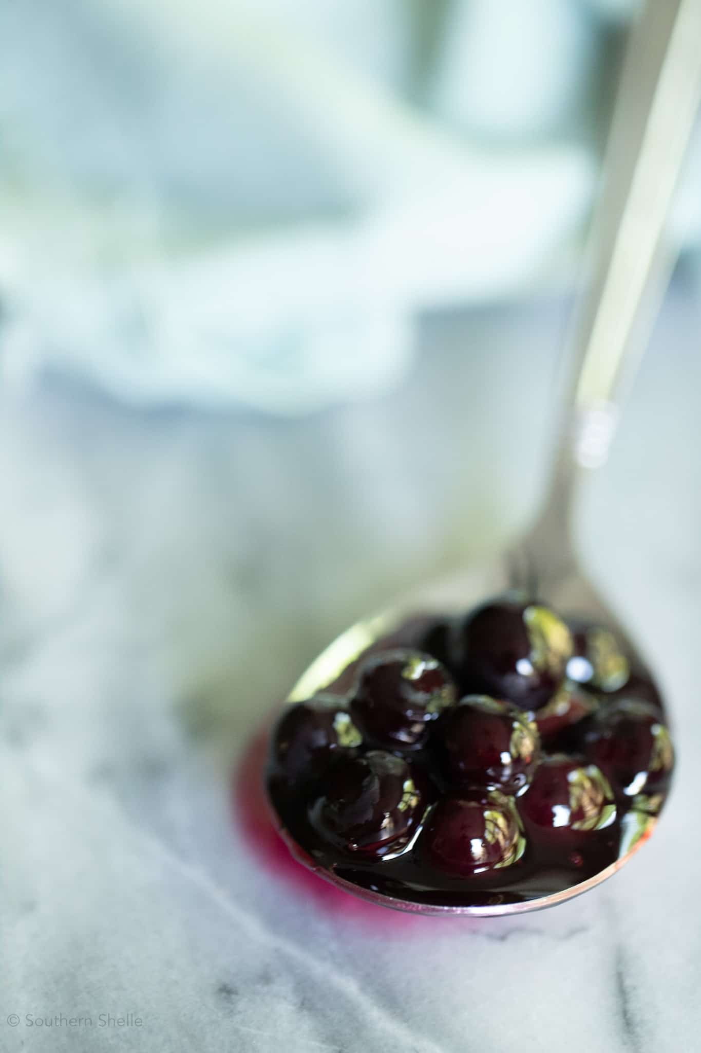 Blueberry Topping • Southern Shelle