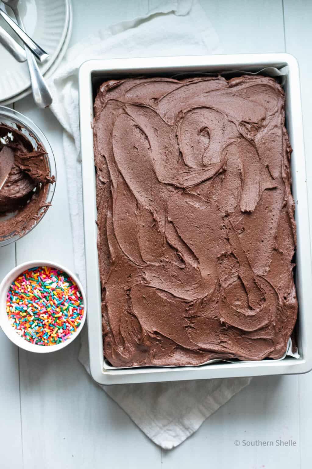Easy Chocolate Buttermilk Sheet Cake • Southern Shelle